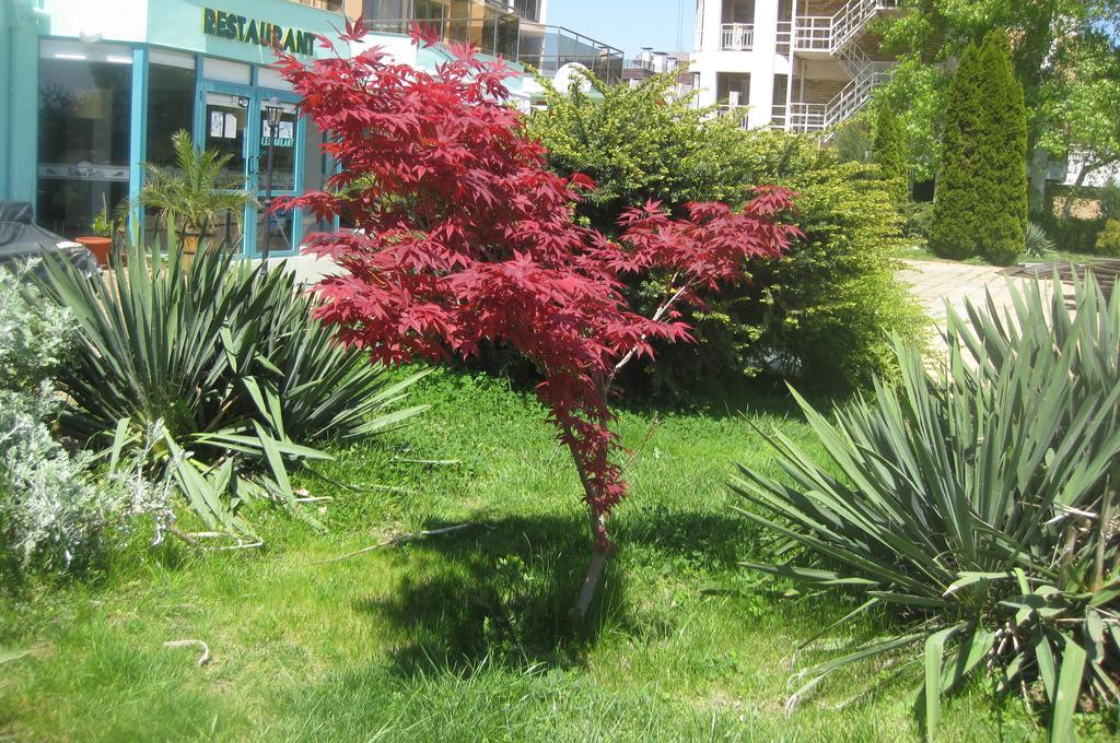 Sirena Hotel Ξενοδοχείο