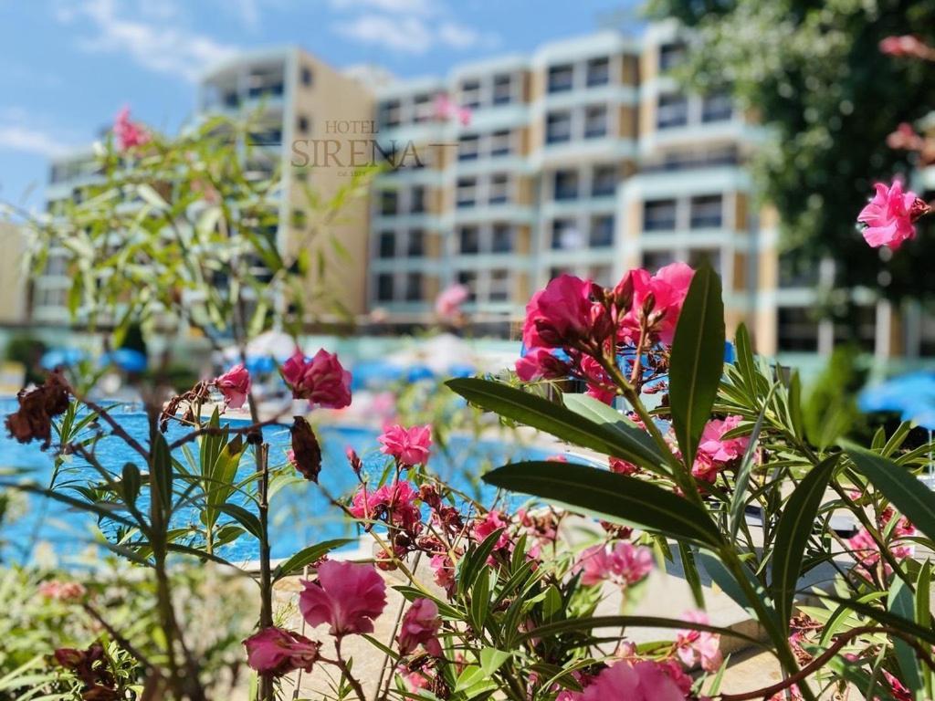 Sirena Hotel Ξενοδοχείο Σάνι Μπιτς